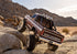 TRX-4 1979 FORD F-150 RANGER XLT HIGH TRAIL EDITION - BROWN (1/10) 92046-4-BRWN